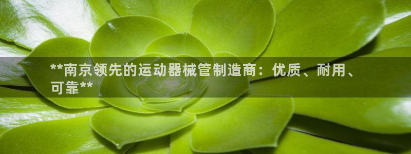 凯时网址多少：**南京领先的运动器械管制造商：优质、