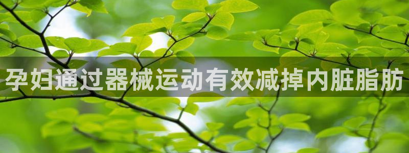 尊龙官方平台是正品吗：孕妇通过器械运动有效减掉内脏脂