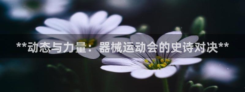 尊龙凯时可以提现吗：**动态与力量：器械运动会的史诗