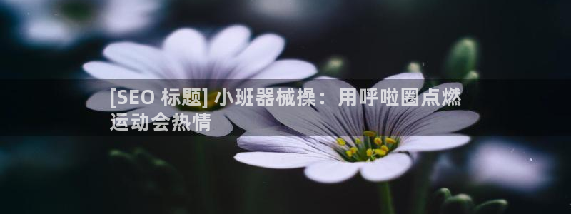 尊龙d88官网登录下载：[SEO 标题] 小班器械操