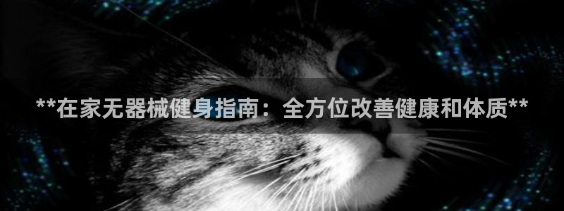 尊龙凯时代理官网入口：**在家无器械健身指南：全方位