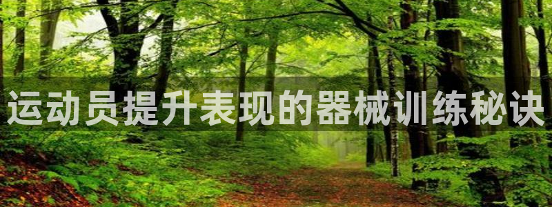 尊龙 10：运动员提升表现的器械训练秘诀