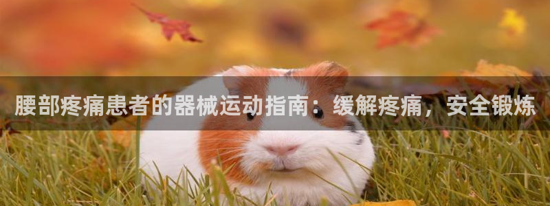 尊龙凯时平台怎么样：腰部疼痛患者的器械运动指南：缓解疼痛，安