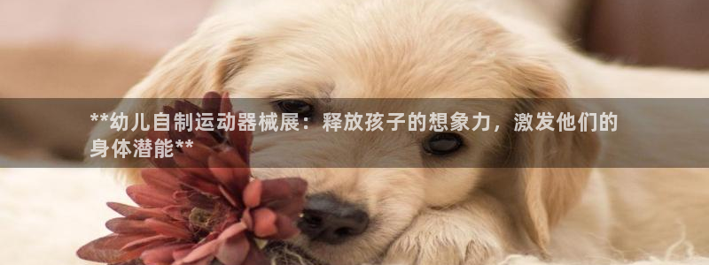 凯时是AG优质运营商：**幼儿自制运动器械展：释放孩