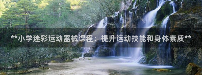 尊龙凯时人生就是搏技术实力：**小学迷彩运动器械课程