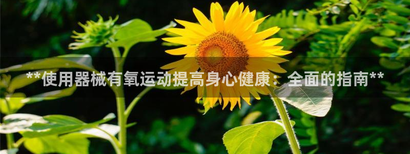 尊龙官网网站：**使用器械有氧运动提高身心健康：全面