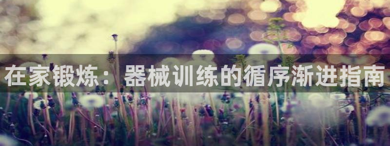 尊龙凯时不朽情缘：在家锻炼：器械训练的循序渐进指南