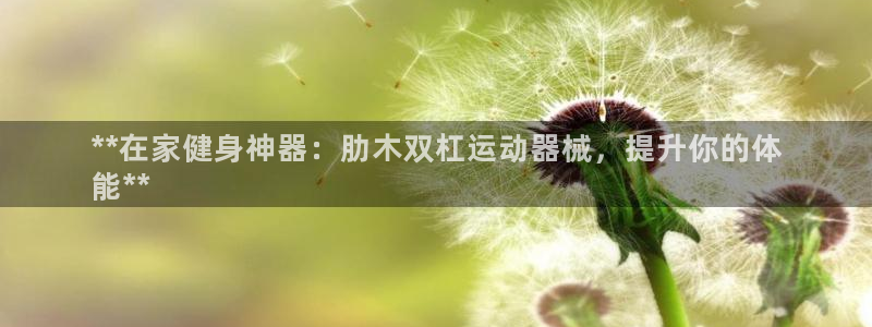尊龙凯时防屏蔽网址：**在家健身神器：肋木双杠运动器