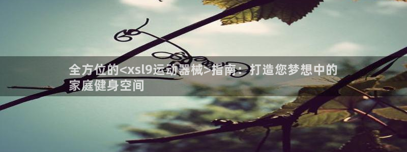 尊龙凯时产品系列：全方位的<xsl9运动器械>指南：