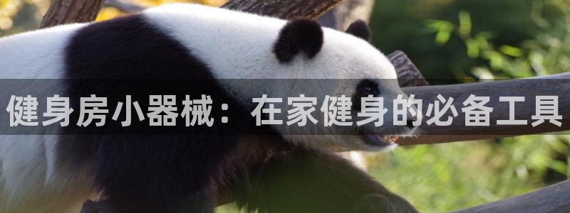 尊龙官网入口：健身房小器械：在家健身的必备工具
