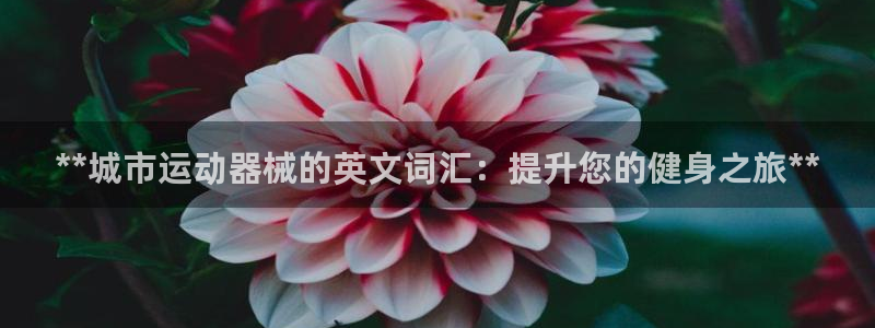 尊龙百度贴吧：**城市运动器械的英文词汇：提升您的健