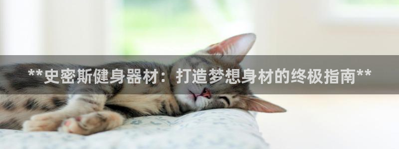 尊龙现金一下S选来就送38：**史密斯健身器材：打造