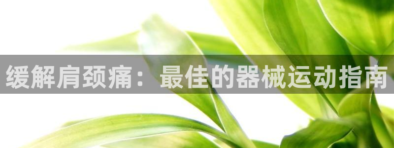 AG尊龙凯时注册：缓解肩颈痛：最佳的器械运动指南