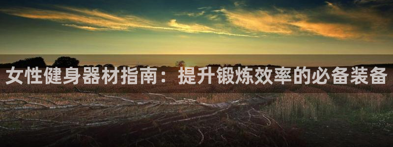 尊龙500价格：女性健身器材指南：提升锻炼效率的必备