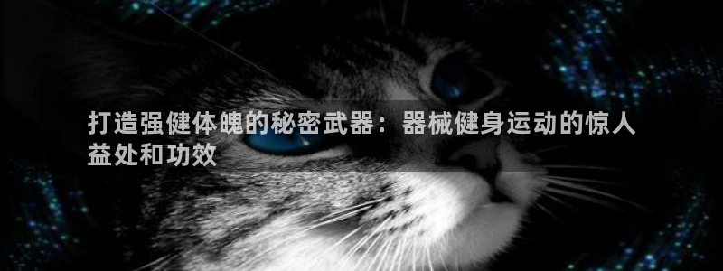 尊龙集团：打造强健体魄的秘密武器：器械健身运动的惊人