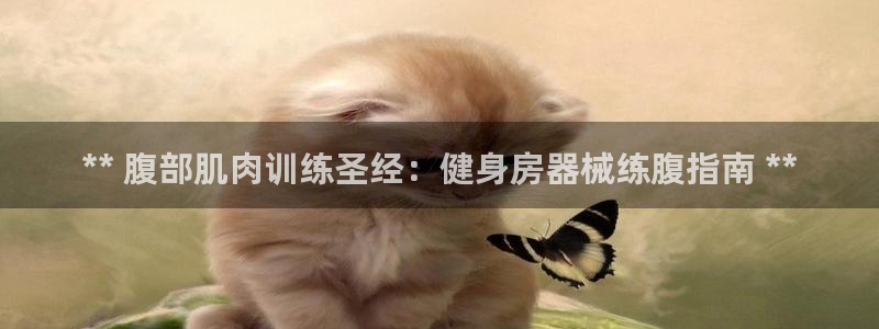 尊龙凯时登陆：** 腹部肌肉训练圣经：健身房器械练腹