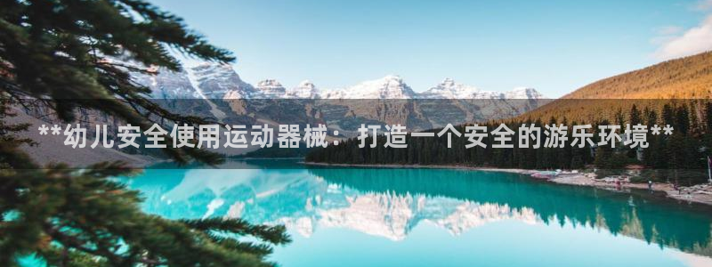 尊龙t300和t400哪个好：**幼儿安全使用运动器