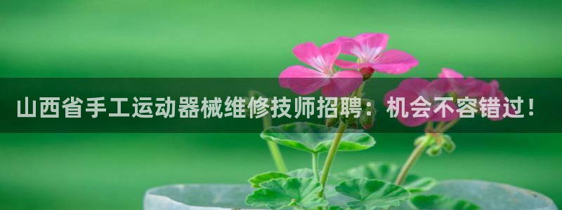 尊龙凯时人生就是博中国官网：山西省手工运动器械维修技