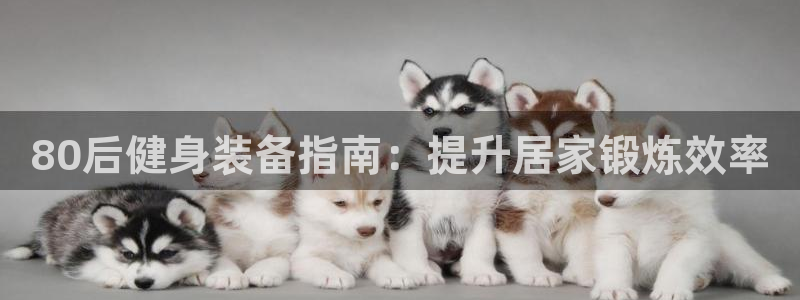尊龙官方网址：80后健身装备指南：提升居家锻炼效率