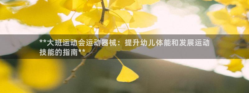 尊龙凯时麻将胡了：**大班运动会运动器械：提升幼儿体