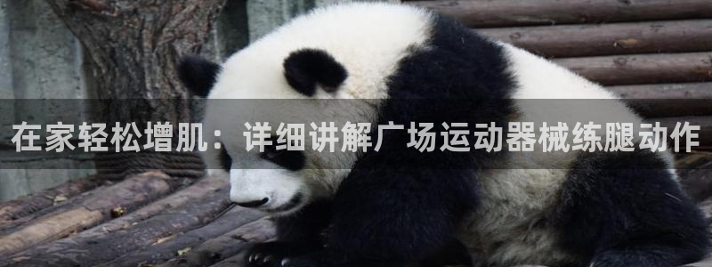 尊龙凯时提不了款：在家轻松增肌：详细讲解广场运动器械