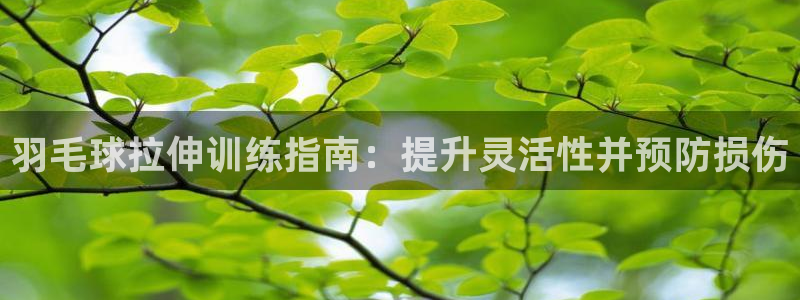 尊龙app注册官网：羽毛球拉伸训练指南：提升灵活性并