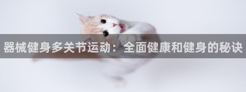 Z6尊龙老版：器械健身多关节运动：全面健康和健身的秘诀