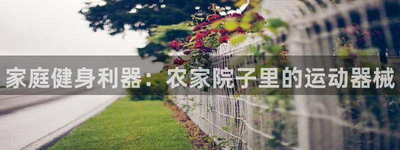 kb88凯时唯一官网注册：家庭健身利器：农家院子里的运动器械
