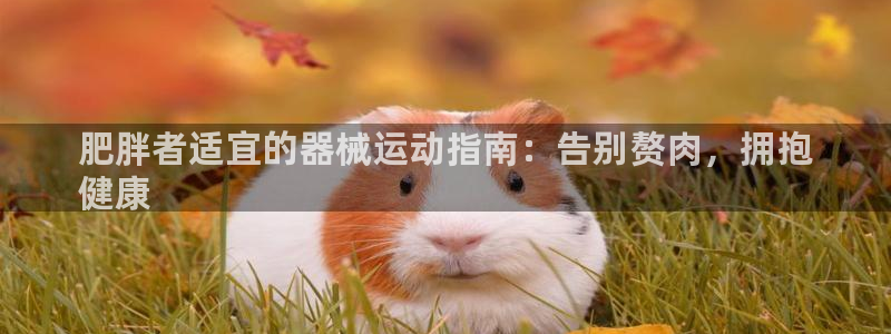 尊龙凯时网
