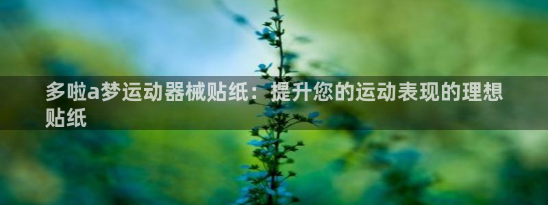 尊龙凯时凯发官网：多啦a梦运动器械贴纸：提升您的运动表现的理