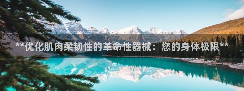凯时k66官网登录：**优化肌肉柔韧性的革命性器械：