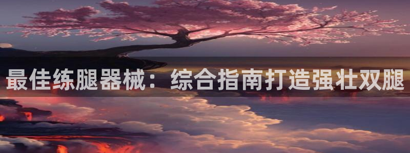 尊龙凯时取款一直支付中：最佳练腿器械：综合指南打造强