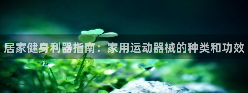 尊龙人生就是博首页入口