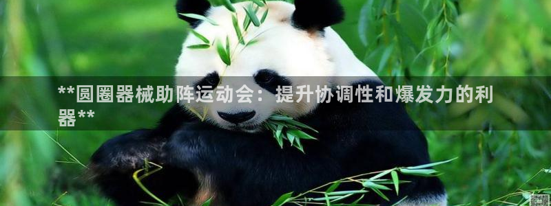 尊龙凯时赞助：**圆圈器械助阵运动会：提升协调性和爆