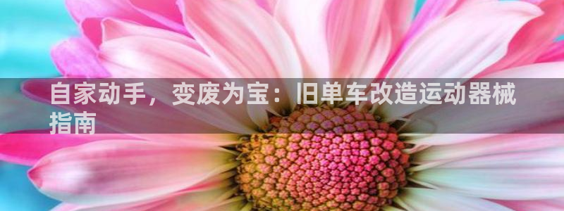 尊龙ag旗舰厅手机版：自家动手，变废为宝：旧单车改造运动器械