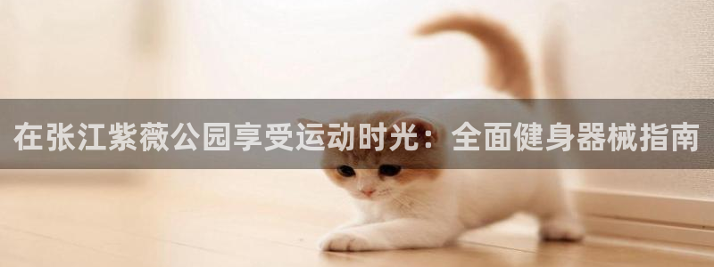 尊龙专访视频：在张江紫薇公园享受运动时光：全面健身器