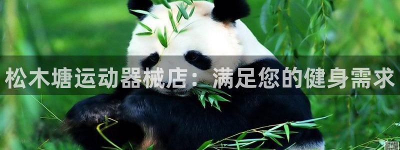 尊龙凯时麻将胡了