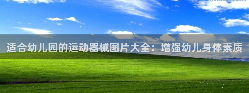 尊龙凯时始人生就是博：适合幼儿园的运动器械图片大全：