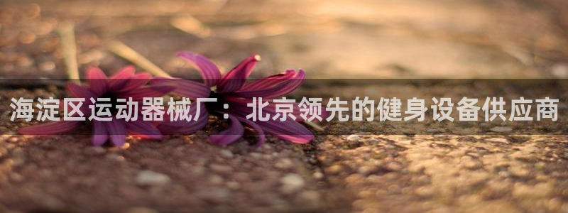 尊龙百度百科