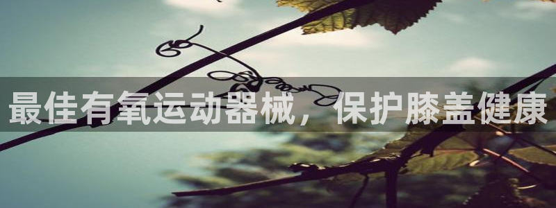 尊龙凯时和九游会哪个平台好一点：最佳有氧运动器械，保
