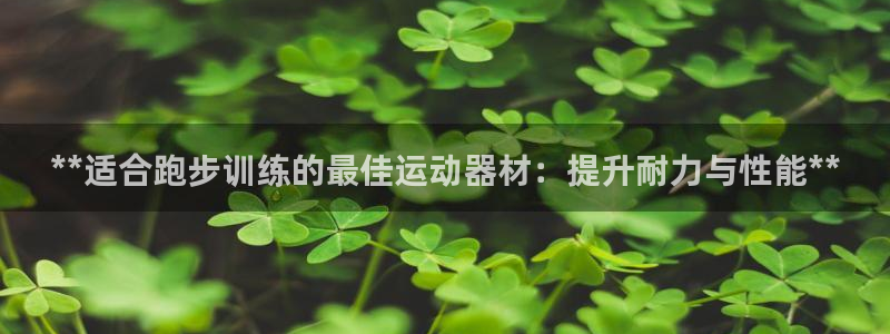 凯时效果怎么样：**适合跑步训练的最佳运动器材：提升