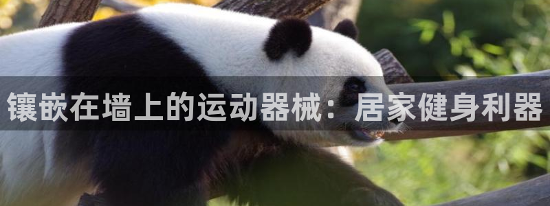 尊龙凯时ag旗舰厅官网客服：镶嵌在墙上的运动器械：居家健身利