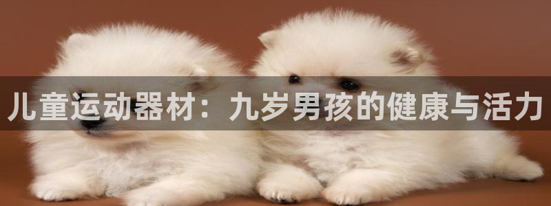 尊龙凯时注册：儿童运动器材：九岁男孩的健康与活力
