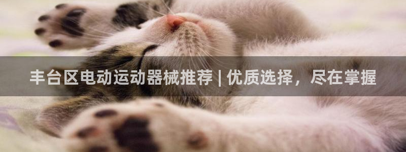 尊龙AG旗舰厅APP：丰台区电动运动器械推荐 | 优