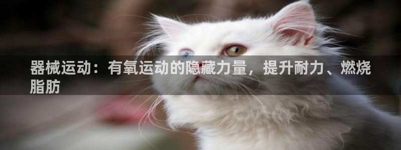 尊龙人生就要博旧版：器械运动：有氧运动的隐藏力量，提升耐力、