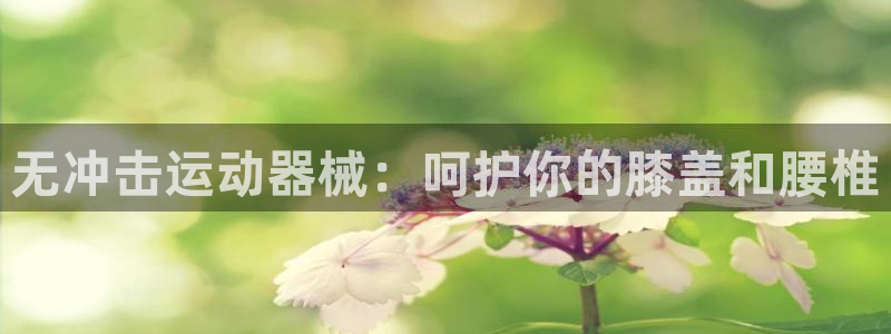尊龙ag旗舰厅下载：无冲击运动器械：呵护你的膝盖和腰