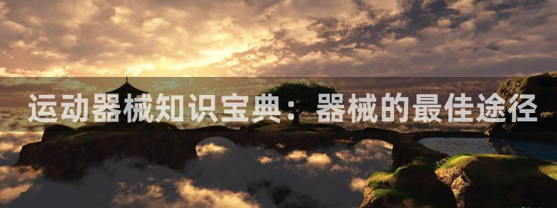 尊龙z6： 运动器械知识宝典：器械的最佳途径