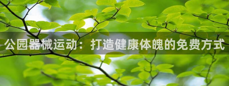 尊龙凯时注册：公园器械运动：打造健康体魄的免费方式