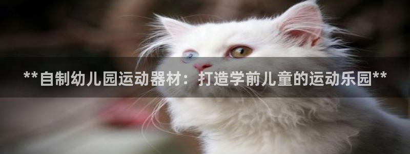Z6尊龙老版：**自制幼儿园运动器材：打造学前儿童的