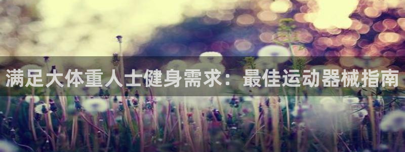 尊龙t600怎么样：满足大体重人士健身需求：最佳运动